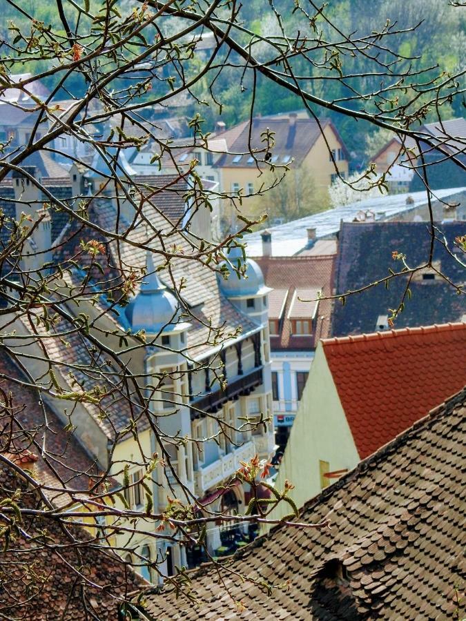 Casa Hermann Appartement Sighişoara Buitenkant foto